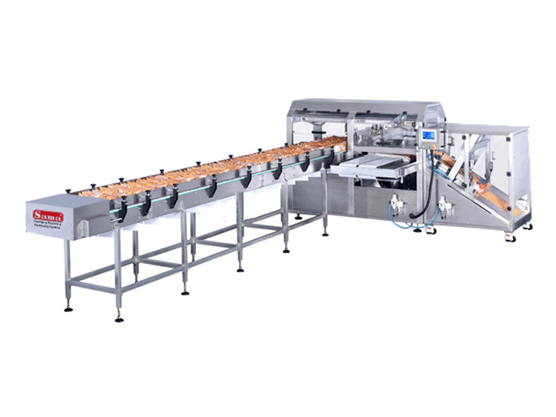 Bag in Bag Packaging Machine Horizontal